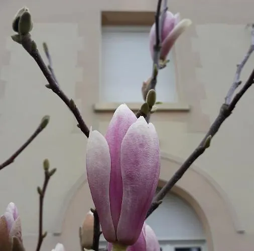 Le Du Magnolia Villa